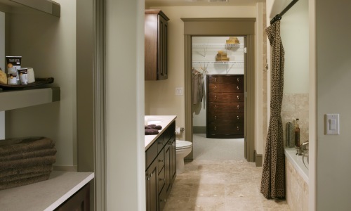 Luxurious Bathrooms Cover Image